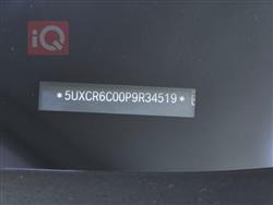 بي ام دبليو X5